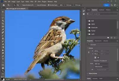 Adobe Photoshop CC - Bildbearbeitungsprogramm