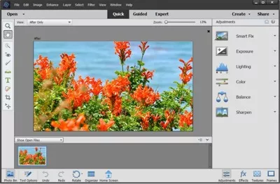 Adobe Photoshop Elements Bildbearbeitungsprogramm