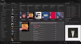 Software del lettore musicale Musicbee